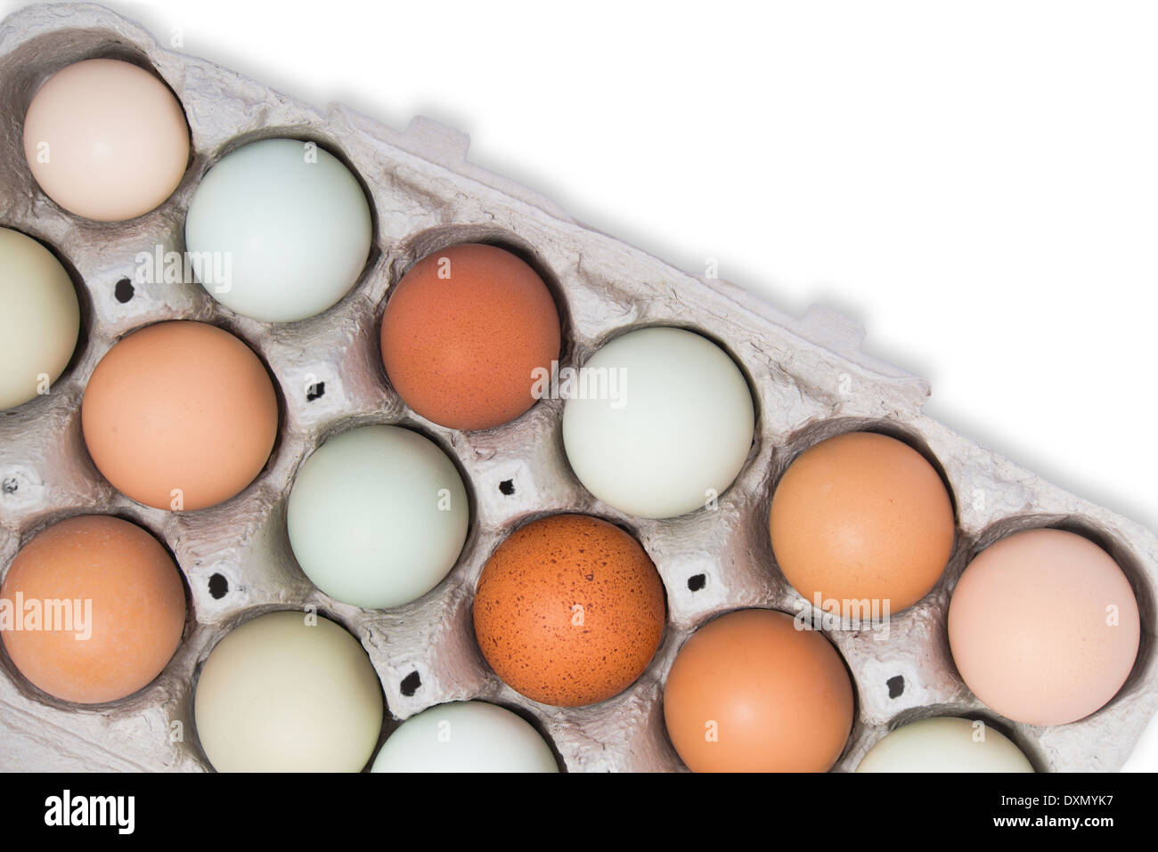 Sortiment von unterschiedlicher Farbe, frisch, Hühnereier in eine graue Schale, isoliert auf weiss Stockfoto