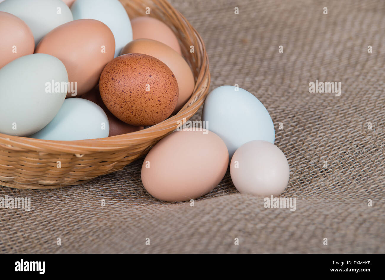 Auswahl an verschiedenen Farbe, frisch, Hühnereier in einem Korb, Nahaufnahme. Sackleinen Hintergrund. Stockfoto