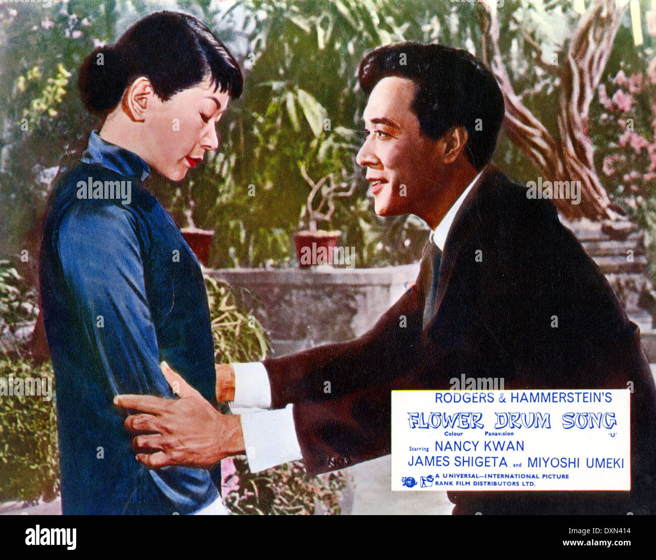 BLUME-TROMMEL-LIED Stockfoto