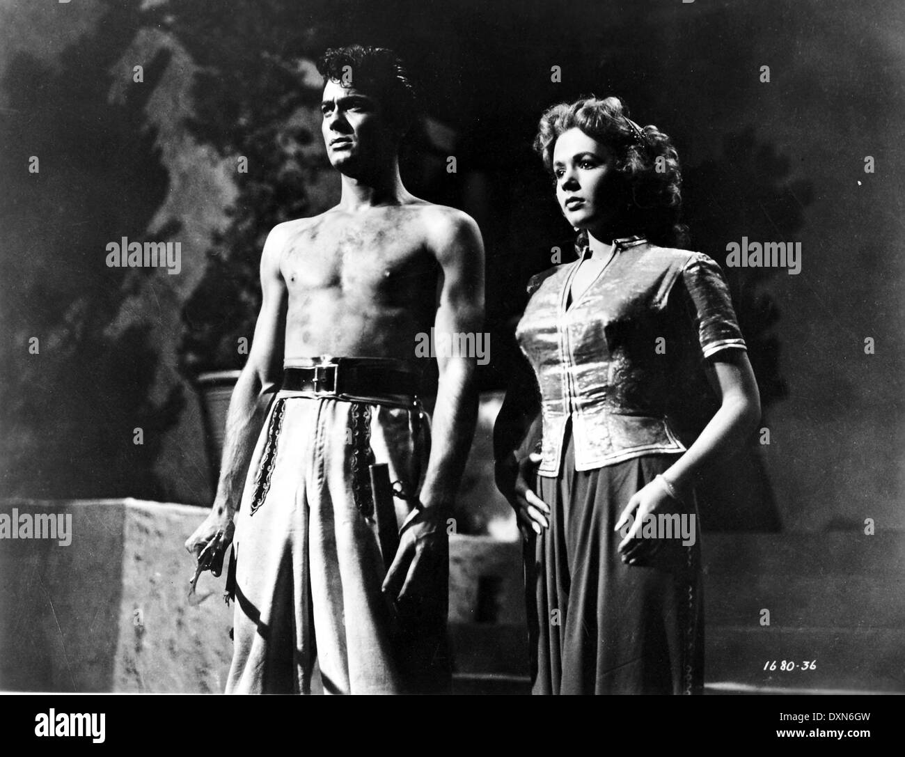 SOHN VON ALI BABA Stockfoto