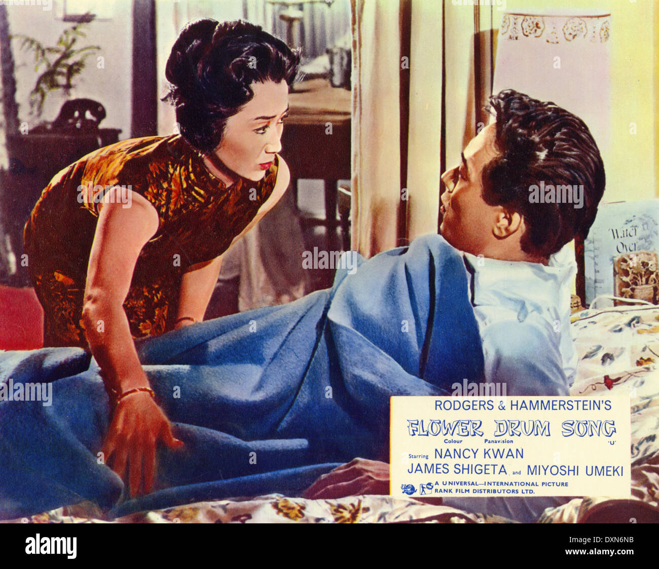 BLUME-TROMMEL-LIED Stockfoto