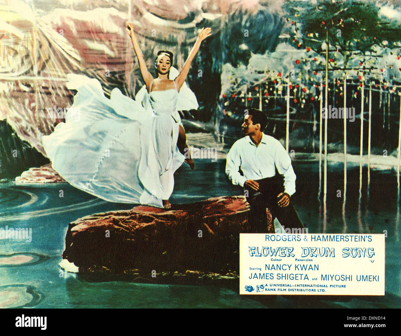 BLUME-TROMMEL-LIED Stockfoto