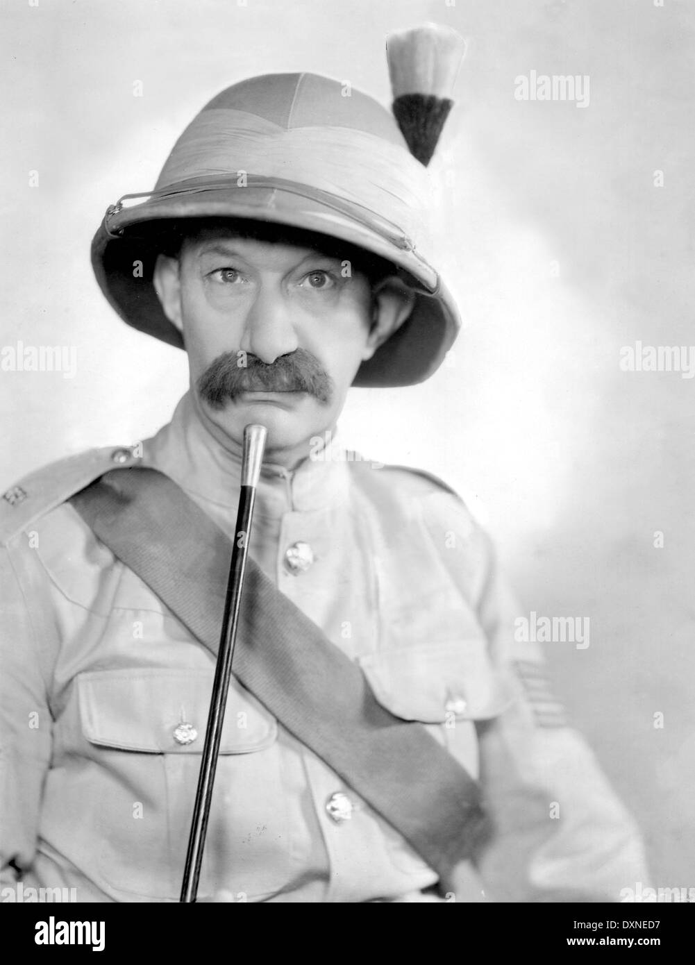 BONNIE SCOTLAND Stockfoto