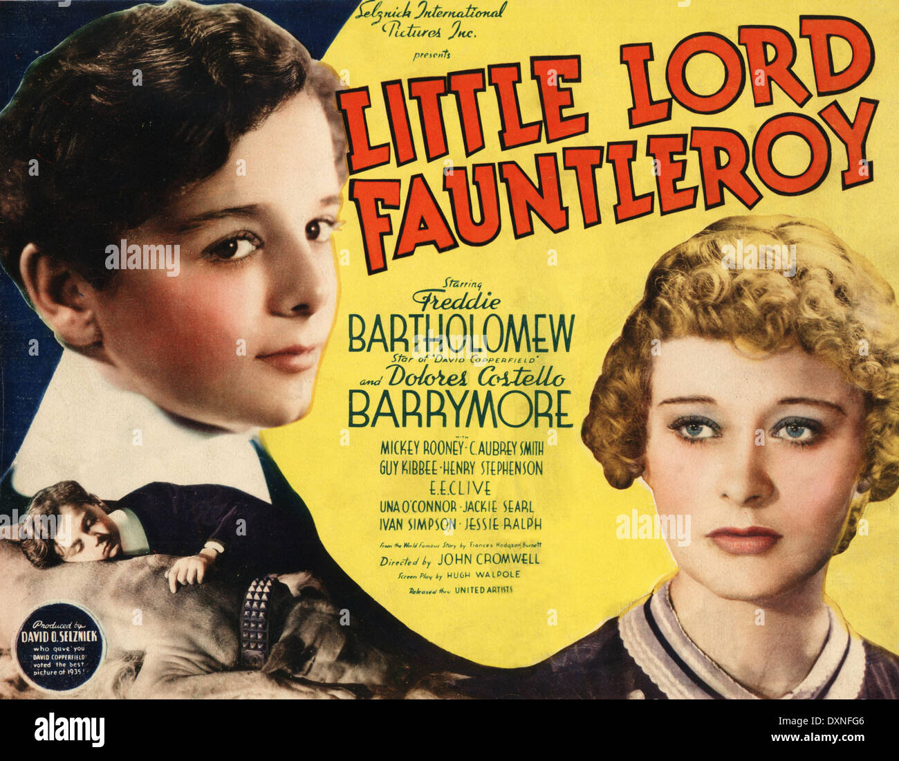 LITTLE LORD FAUNTLEROY Stockfoto