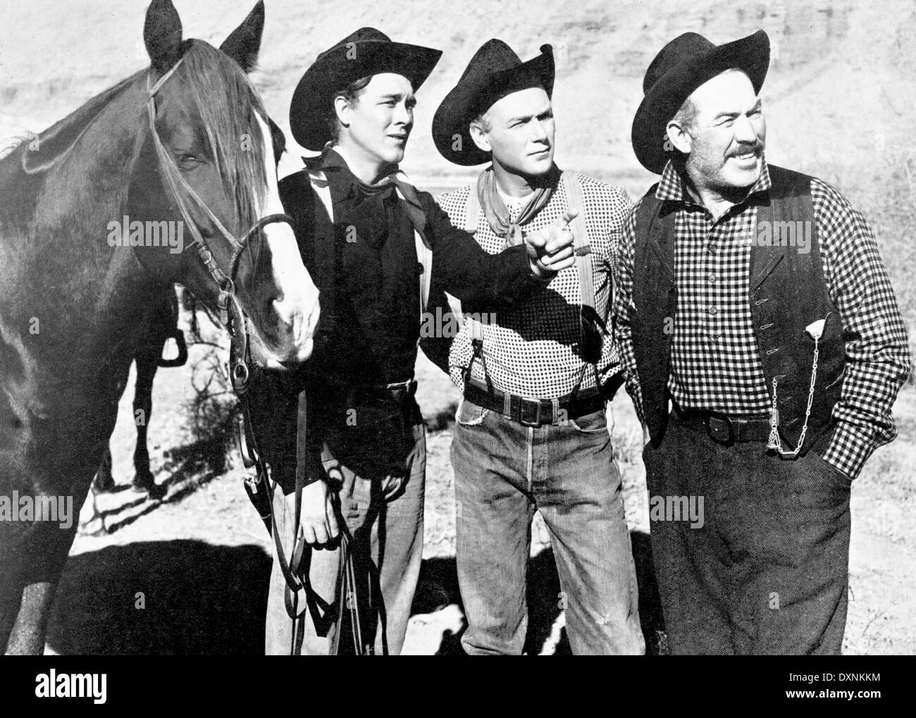 WAGON MASTER Stockfoto