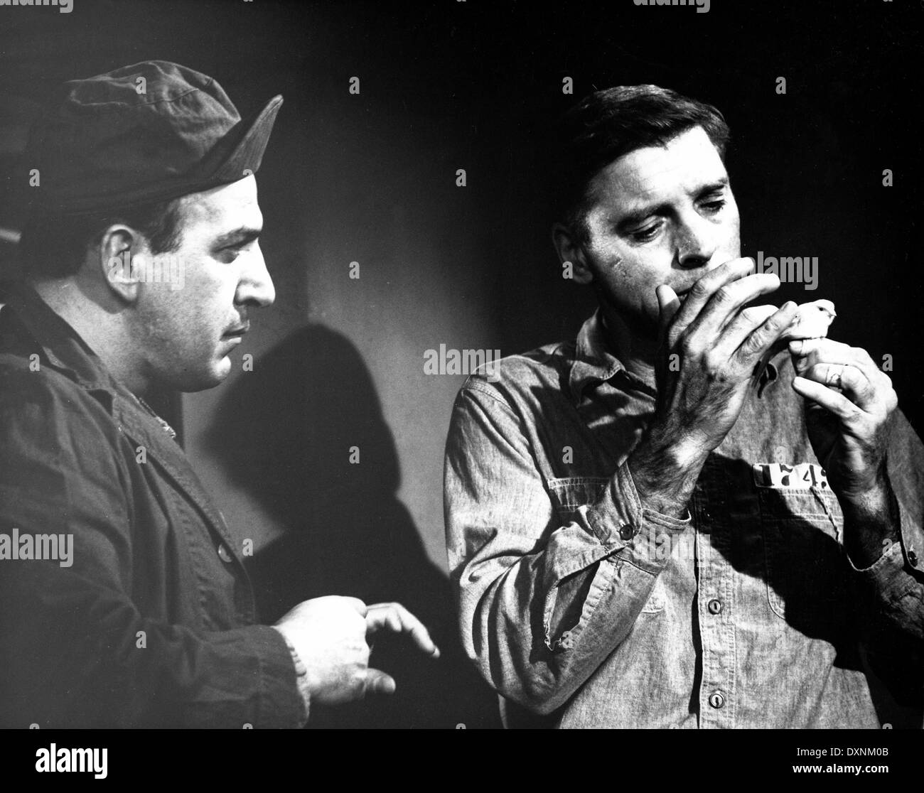 VOGELMANN VON ALCATRAZ Stockfoto