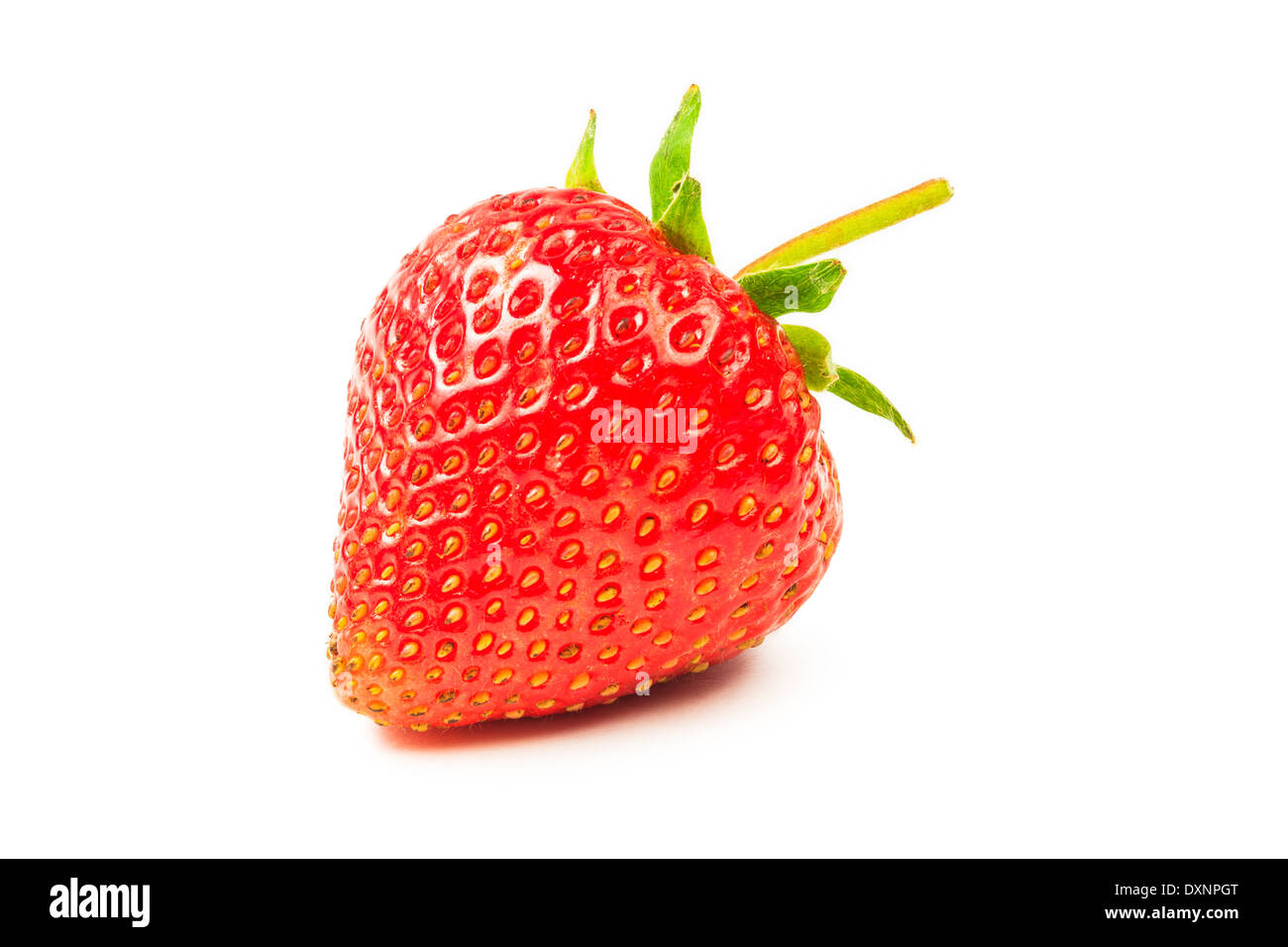 Frische reife Erdbeere isoliert auf weißem Hintergrund Stockfoto