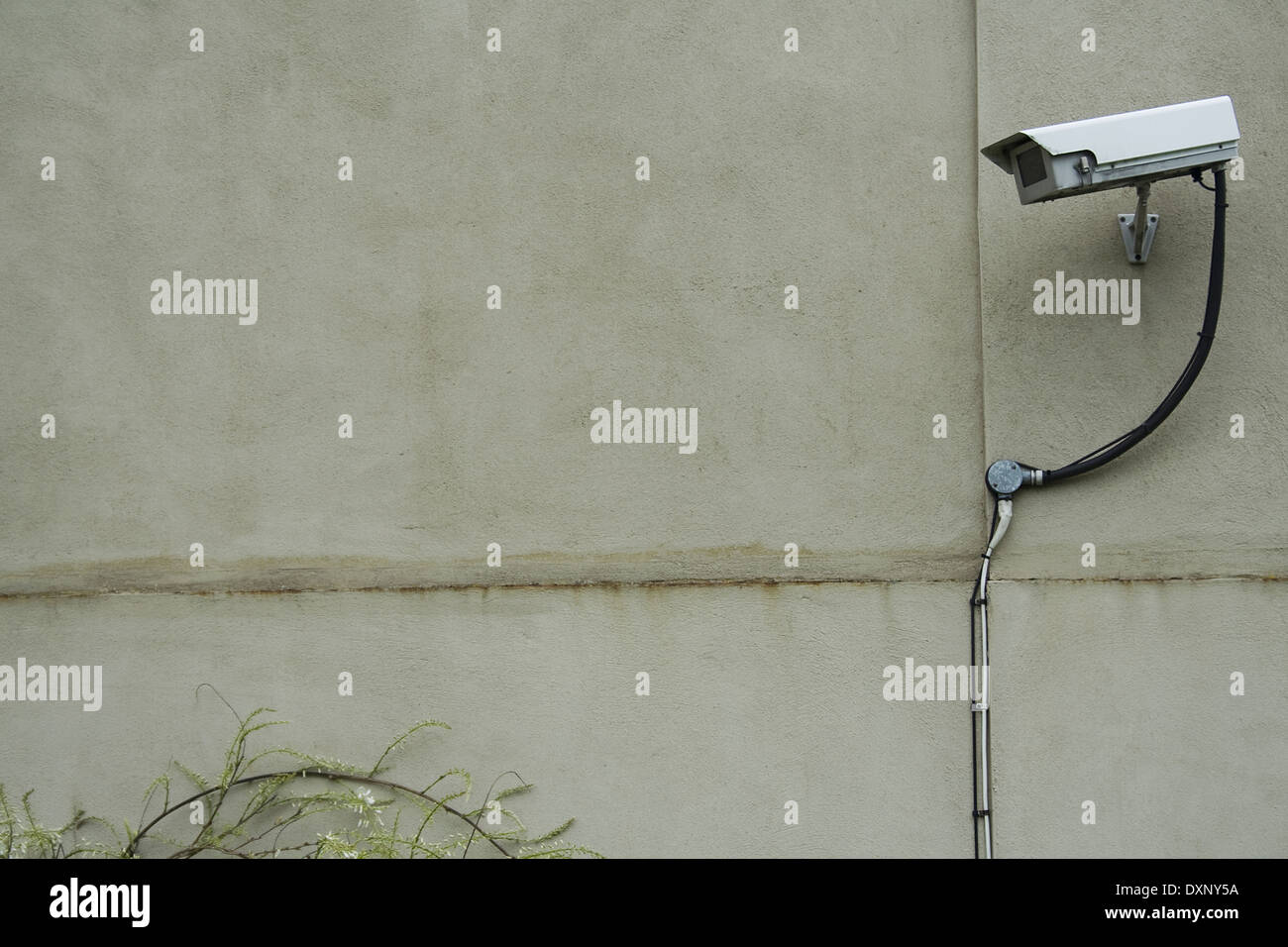 Überwachungskameras an Wand Stockfoto