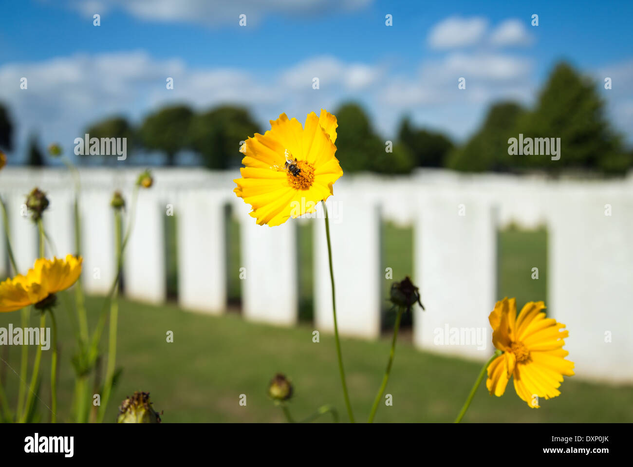 Souchez, Frankreich, britischer Soldatenfriedhof Cabaret Rouge Stockfoto
