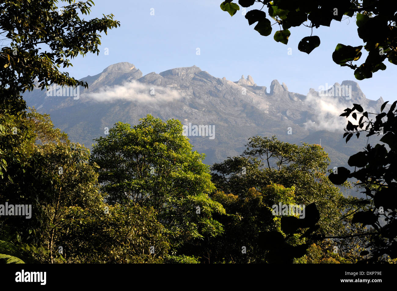 Regenwald in der Kinabalu National Park, Sabah, Borneo, Malaysia. Blick auf die Berge von Parkverwaltung. Stockfoto