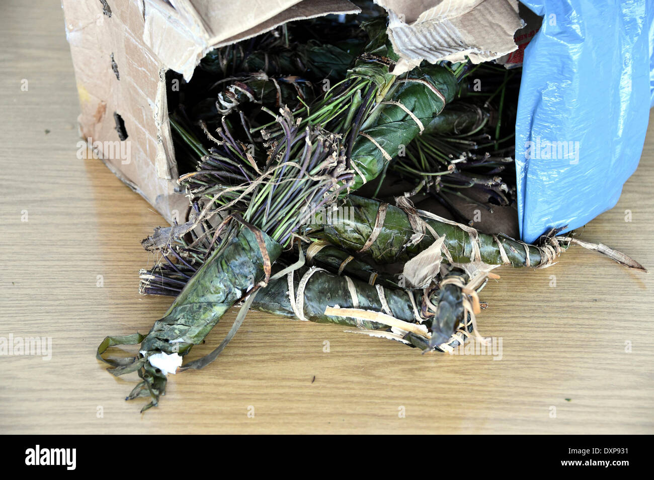 Kiel, Deutschland. 28. März 2014. Ein Karton mit dem Kauen Medikament Khat sitzt auf einem Tisch bei einer Pressekonferenz in Kiel, Deutschland, 28. März 2014. Die Zollstelle in Kiel und Itzehoe präsentieren das Jahresergebnis. Foto: CARSTEN REHDER/Dpa/Alamy Live News Stockfoto