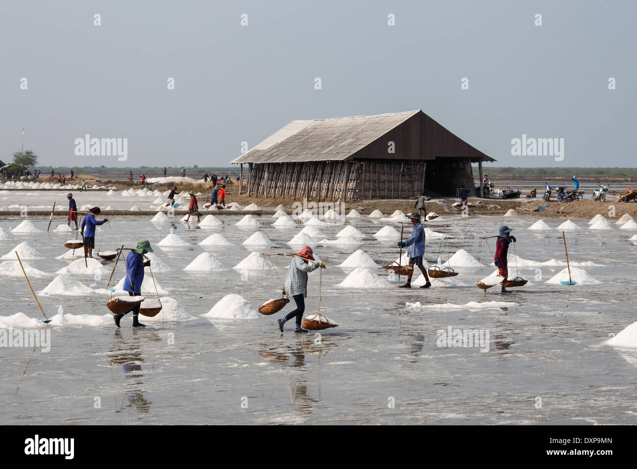 Arbeiter in Thailand sammeln von einem Salinen Salz Stockfoto