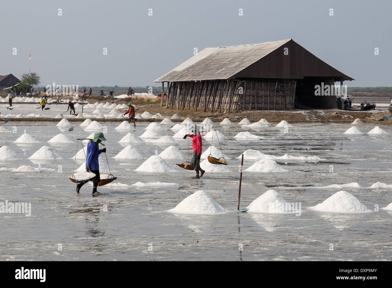 Arbeiter in Thailand sammeln von einem Salinen Salz Stockfoto