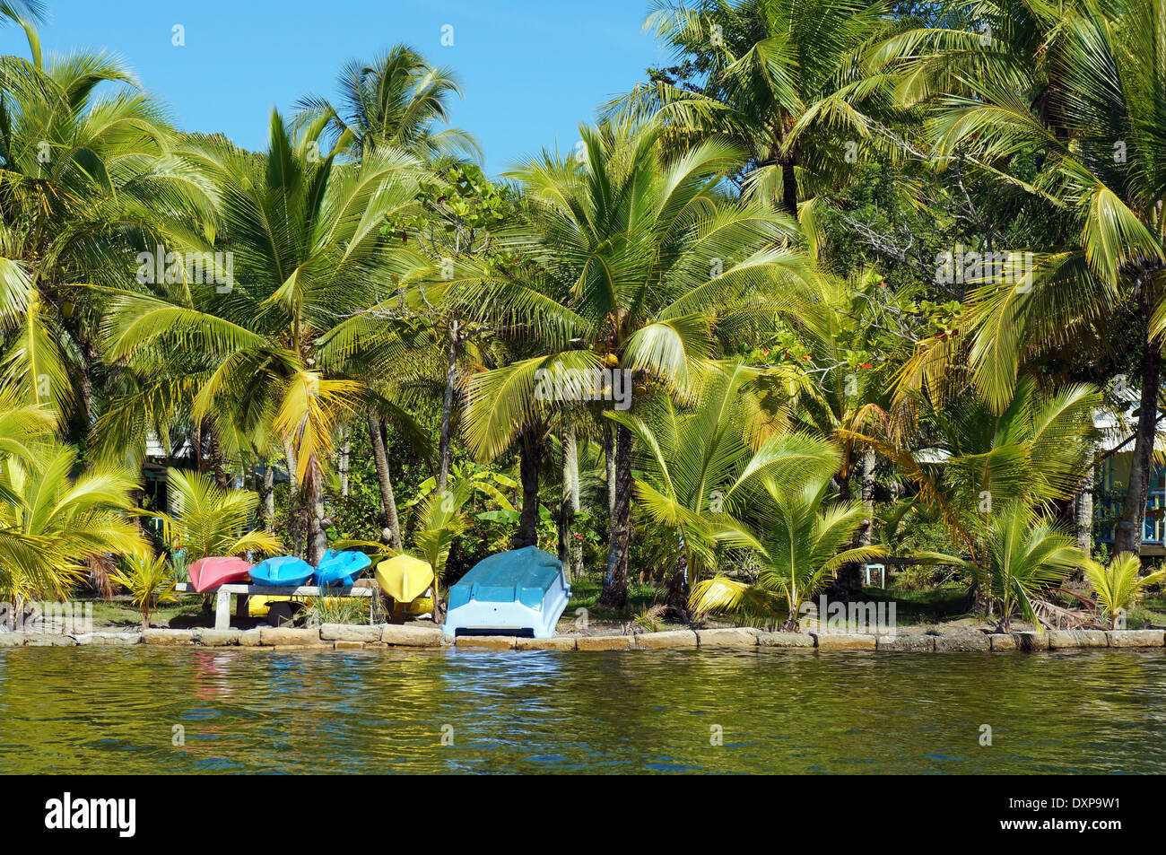 Tropische Küste mit Kokosnuss-Palmen und bunten Kajaks wartet auf Touristen, Carenero Karibikinsel, Bocas del Toro, Panama Stockfoto