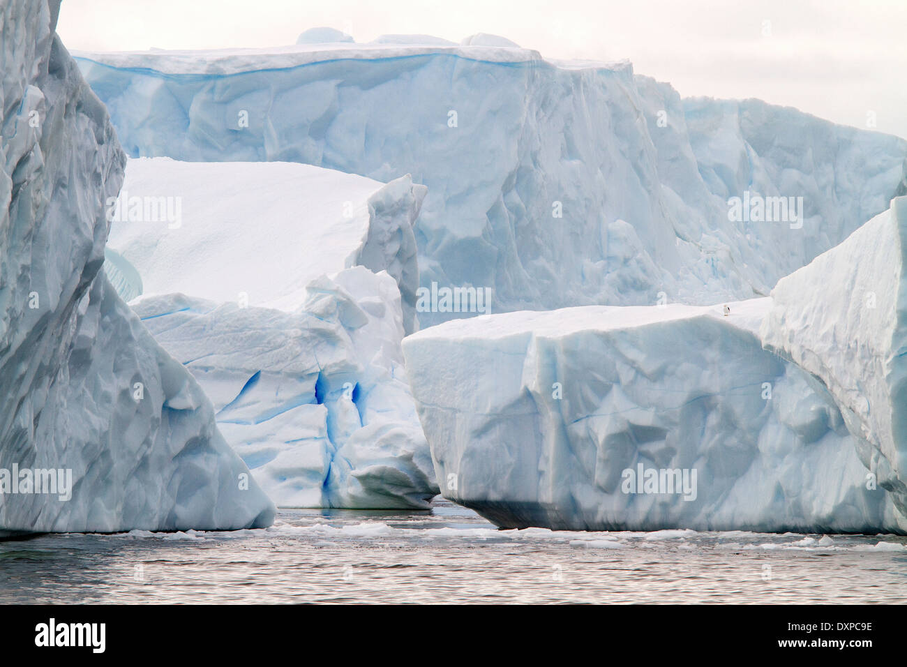 Eisberge der Antarktis Eis berg mit blauem Eis. Schöne antarktische Landschaft. Stockfoto