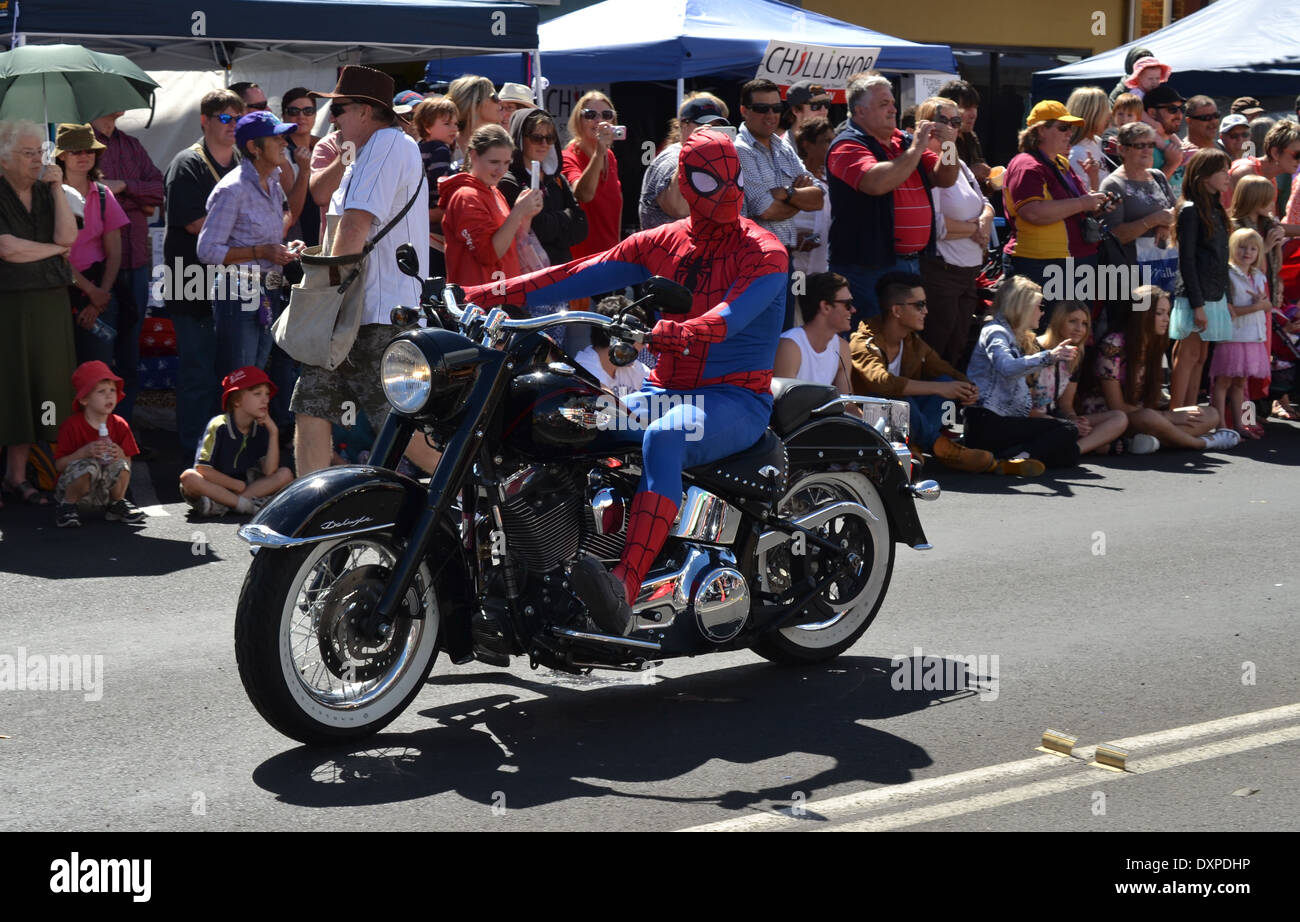 Spider-Man reiten sein Motorrad in der stanthorpe Apfel und Traube Festival Parade 2014 Stockfoto