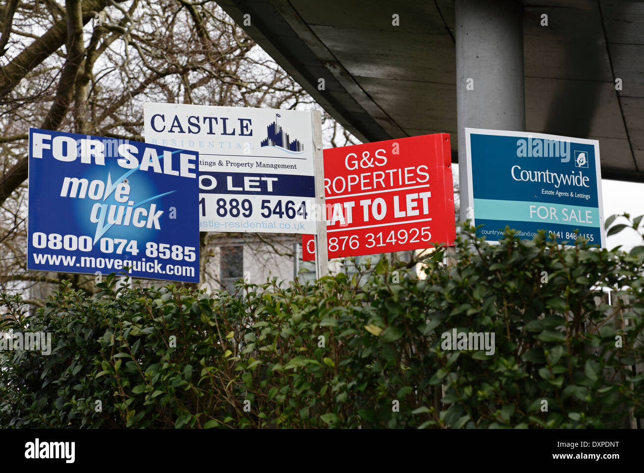 Immobilienmakler für Verkauf und lassen Sie Bretter, Schottland, UK Stockfoto