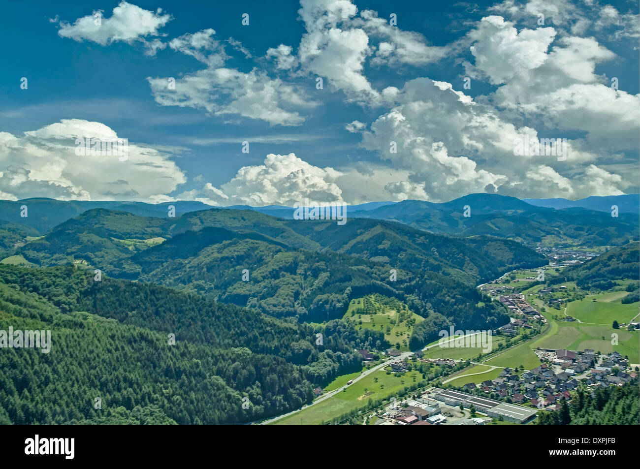 Schwarzwälder Wald Tanne Wald Gebirge Deutschland Stockfoto