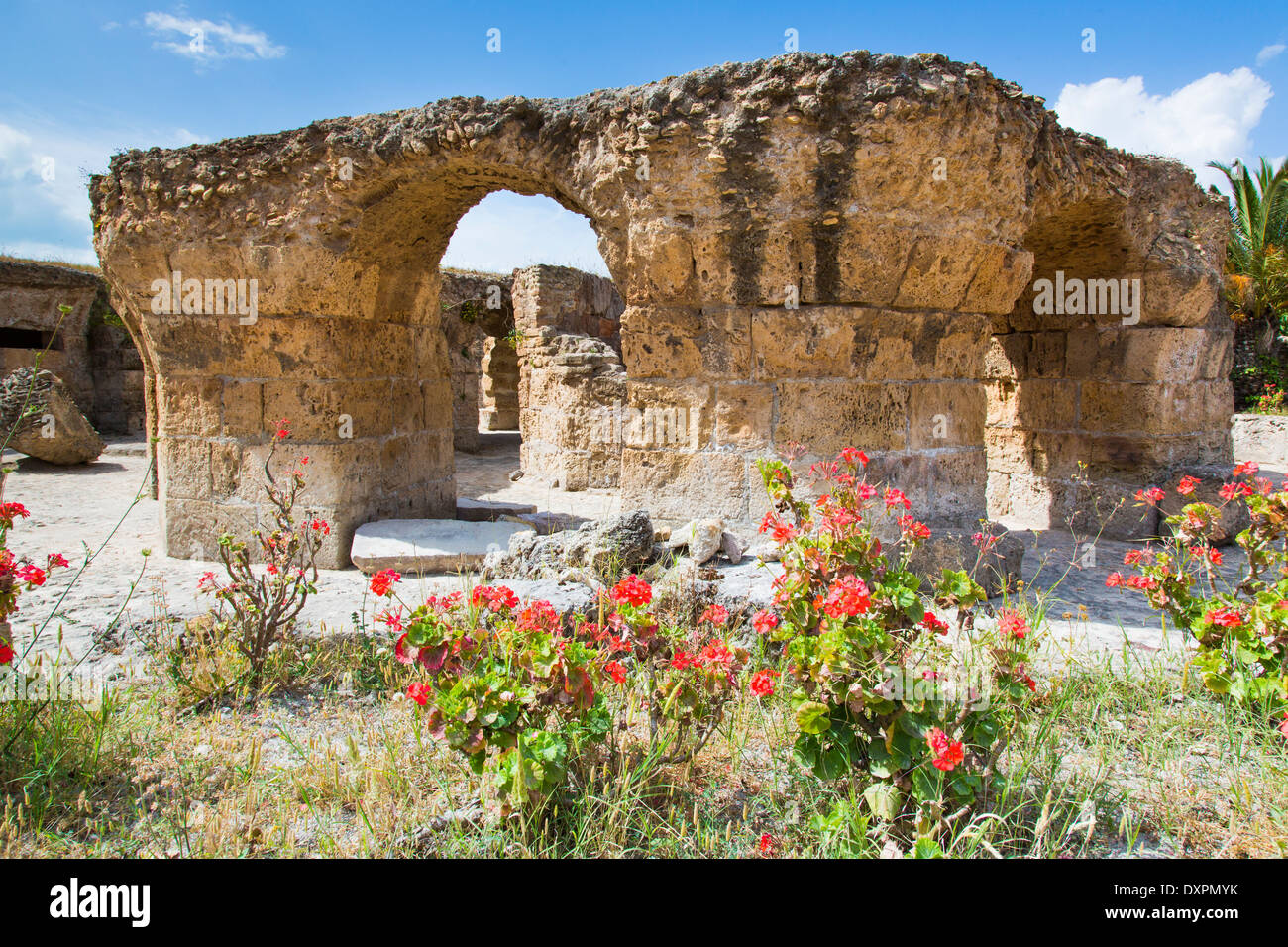 Alte Bäder in den Ruinen von Karthago, Tunis, Tunesien Stockfoto