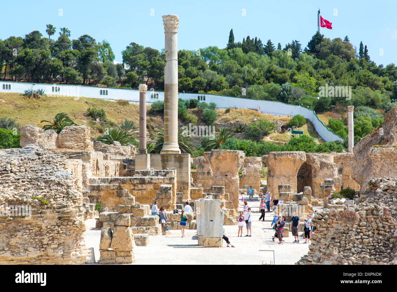 Ruinen von Karthago, Tunis, Tunesien Stockfoto