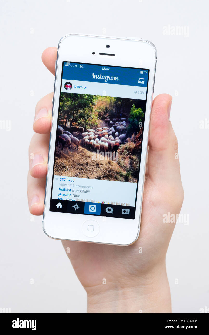 Instagram auf weißes iPhone 5 Stockfoto