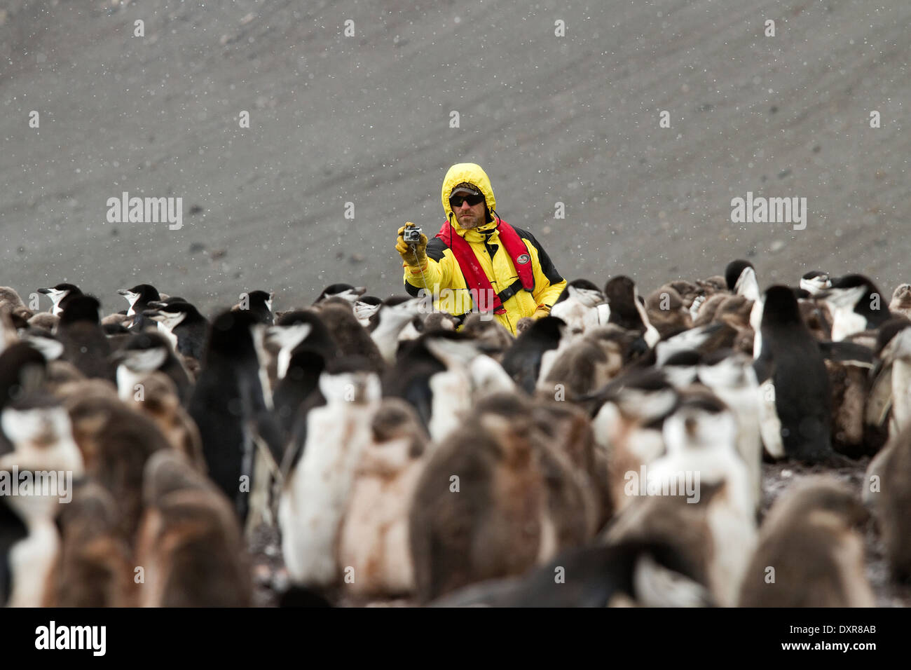 Antarktis Tourismus und Pinguine unter der Antarktis-Landschaft. Tourist unter Bild mit GoPro Kamera. Stockfoto