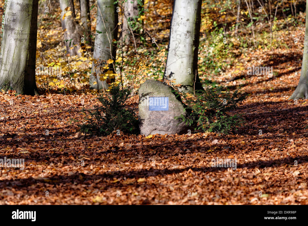 Kleinmachnow, Deutschland, Nordahl Grieg-Gedenkstein Stockfoto