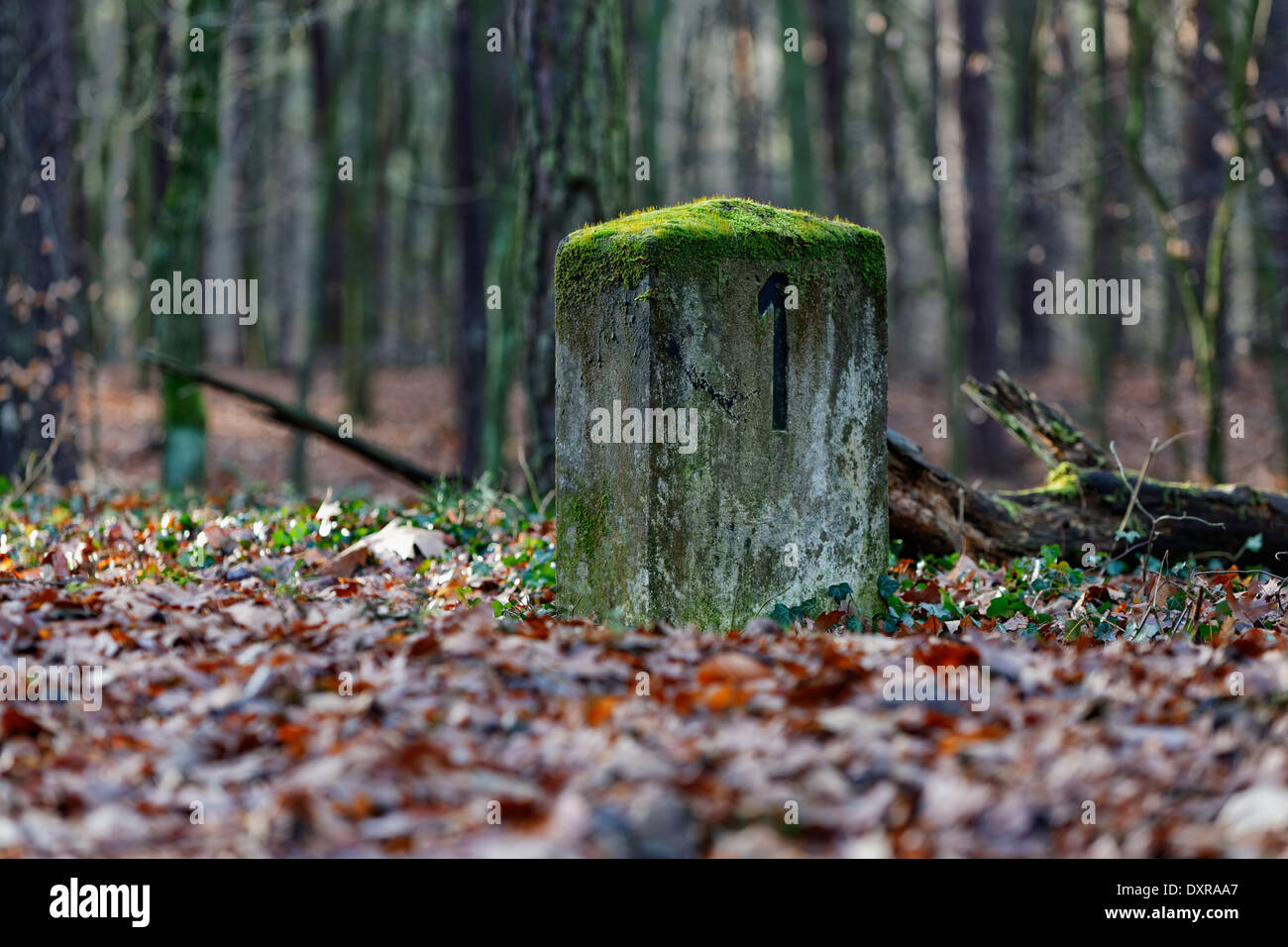 Berlin, Deutschland, bleibt Stahnsdorfer Friedhofsorbit Stockfoto
