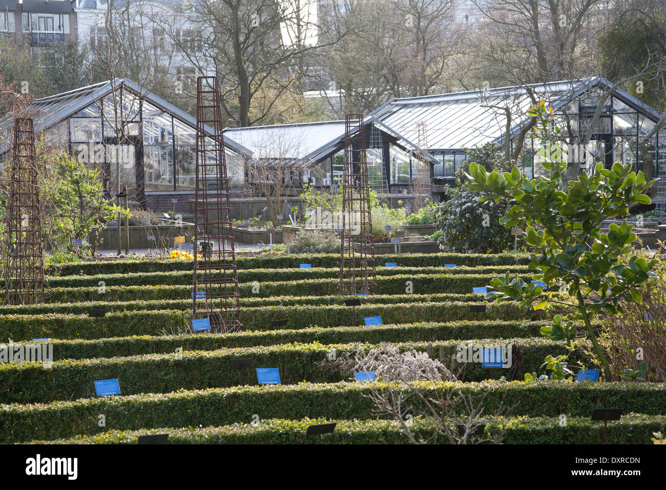 Hedging und Gewächshäuser im Hortus Botanicus Amsterdam, Niederlande Stockfoto