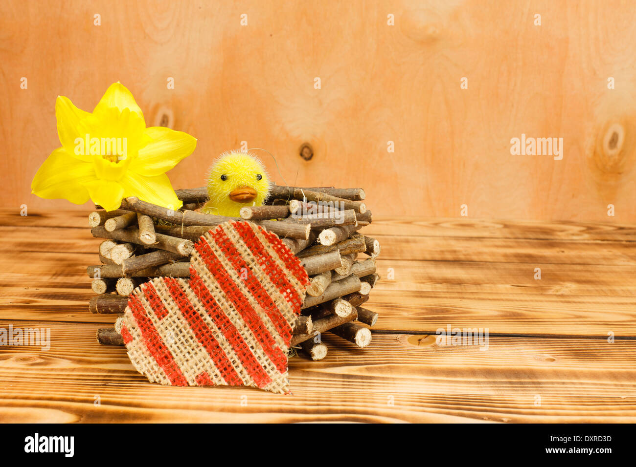 Küken in einem Nest aus Holz gemacht, machte dieses Herz von Leinen und Narzisse Blume Stockfoto