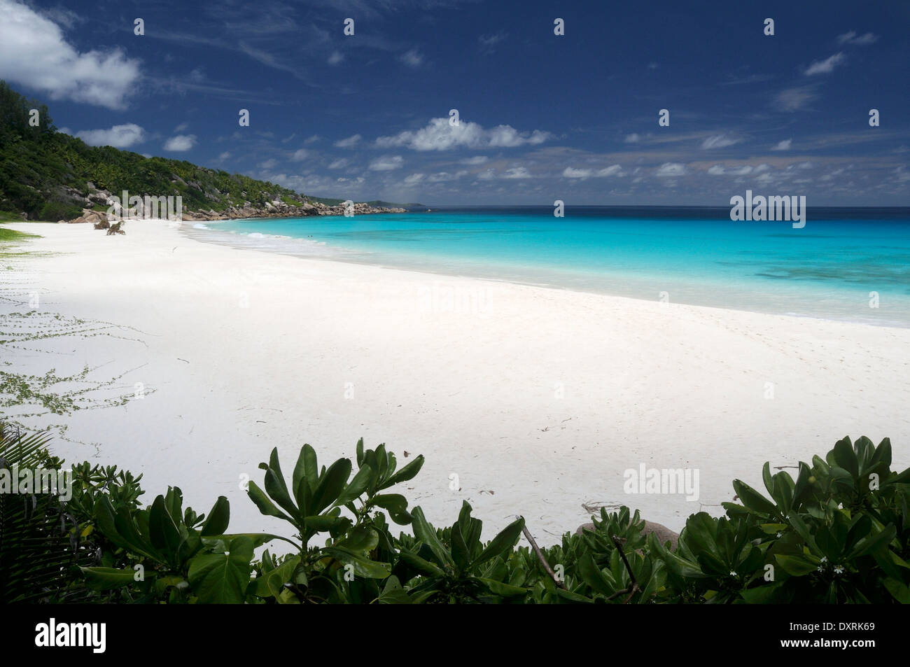 Petite Anse Strand auf La Digue, Seychellen Stockfoto