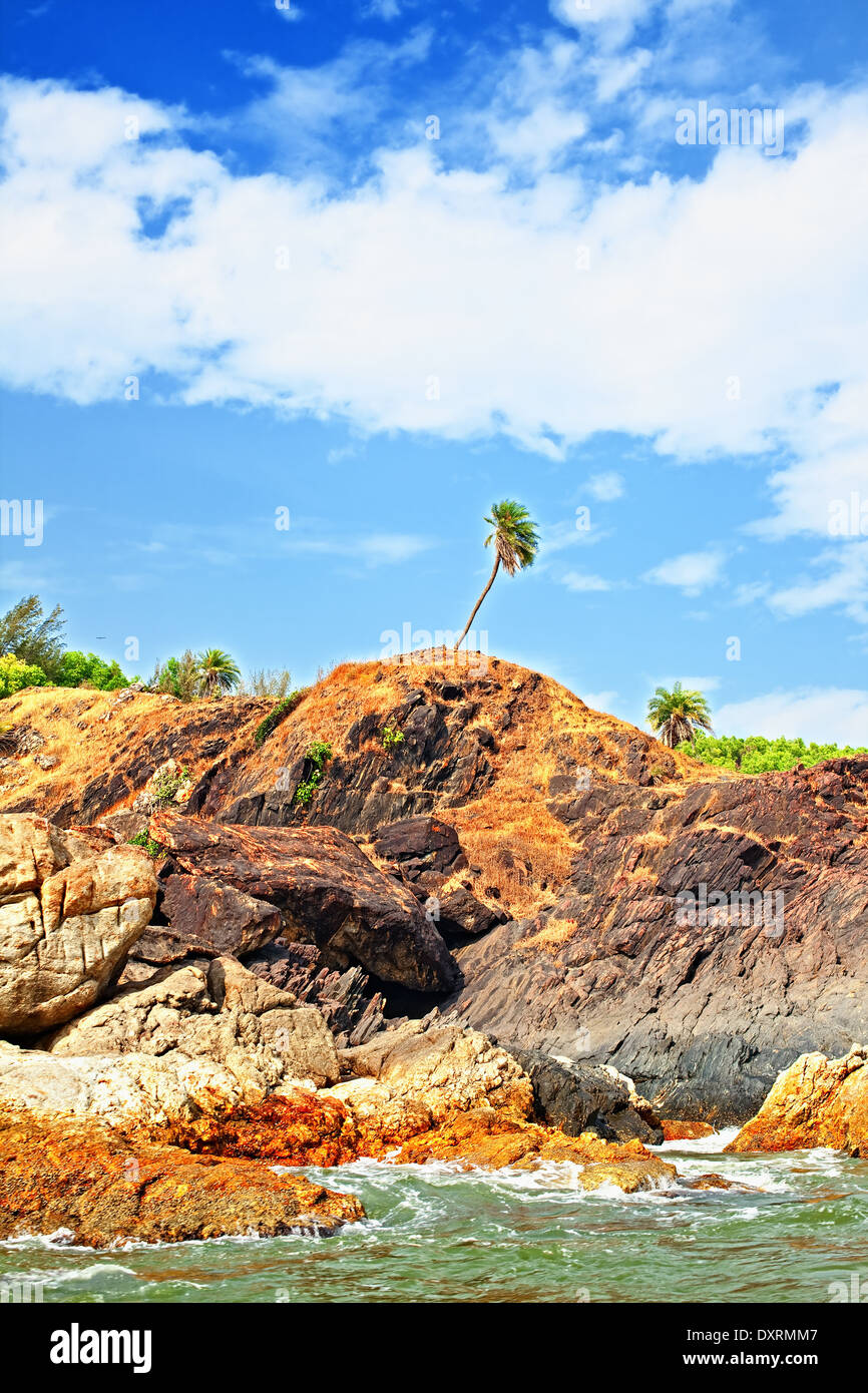 Landschaft mit Palmen, Felsen und Meer Stockfoto
