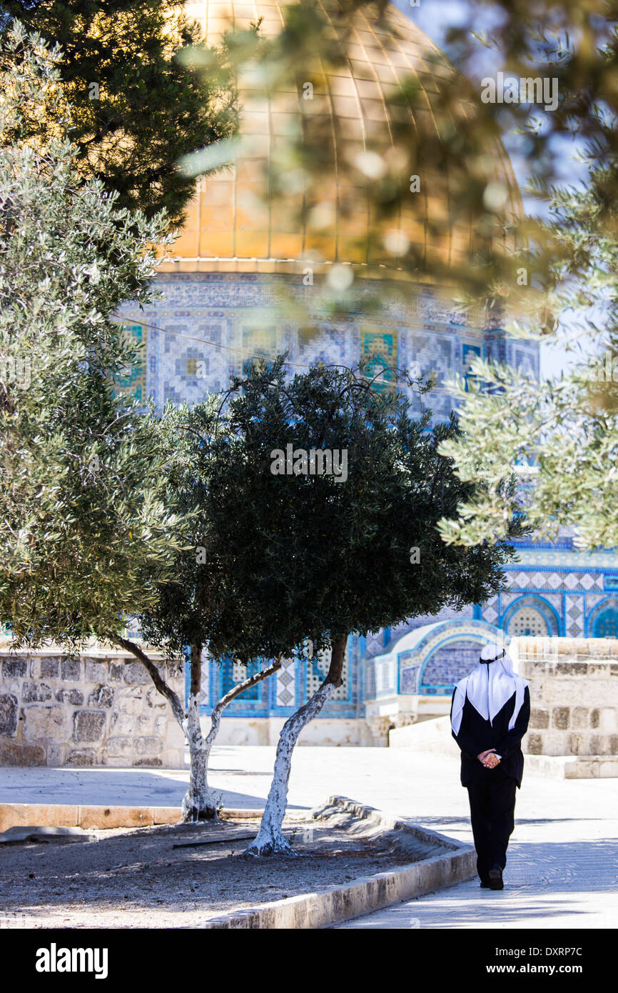 Ein Mann geht in den Olivenhainen auf den Schaden als Sharif Stockfoto