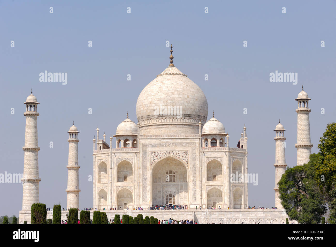 Taj Mahal, letztlich aus dem arabischen, "Krone der Paläste", auch "Taj" ist ein weißer Marmor-Mausoleum befindet sich in Agra. Stockfoto