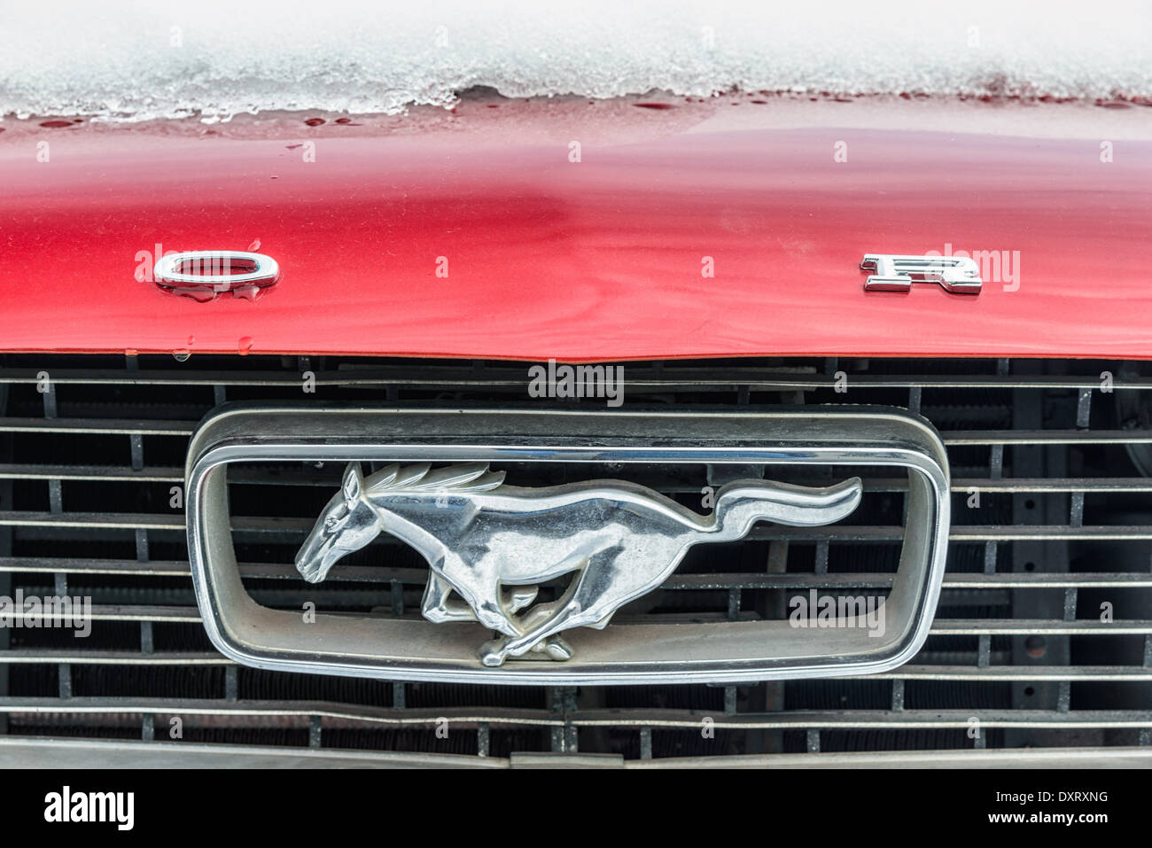 Ford mustang logo -Fotos und -Bildmaterial in hoher Auflösung – Alamy