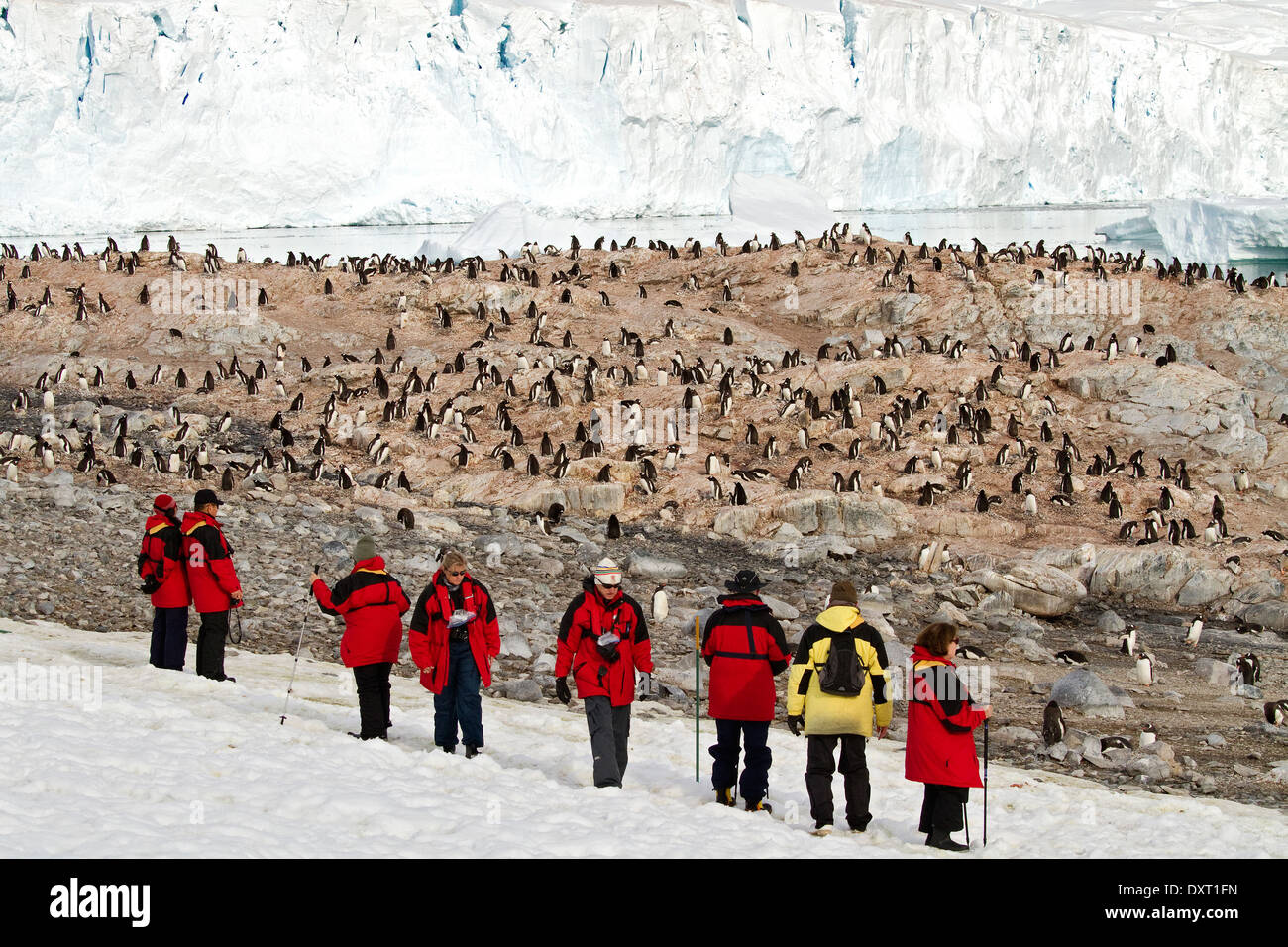 Antarktis Tourismus, Touristen und Pinguine unter der Antarktis-Landschaft, Gletscher und Schnee. Stockfoto