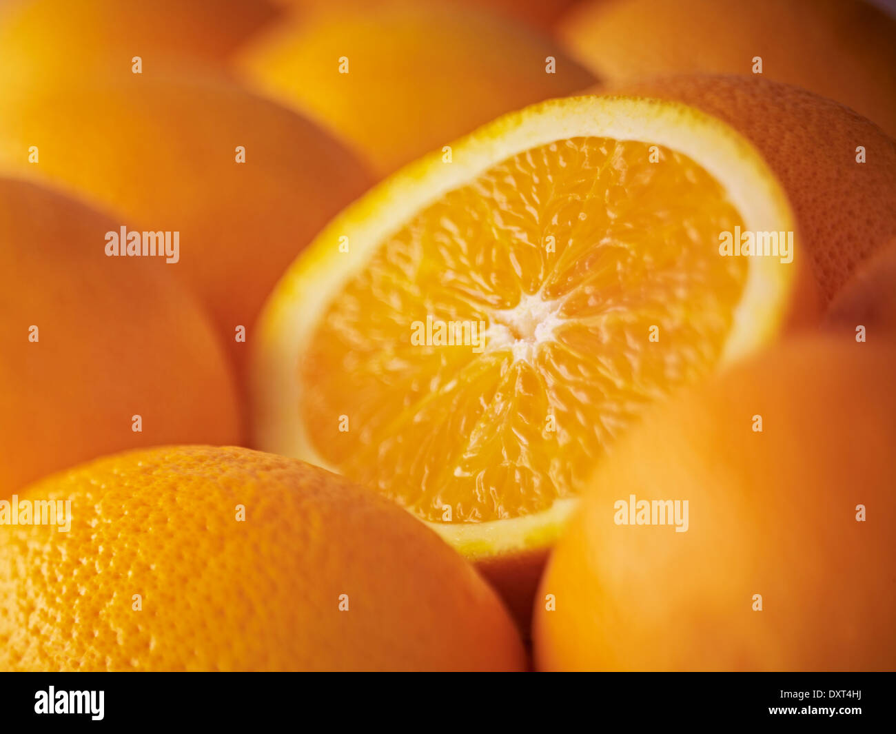 Extreme Nahaufnahme von geschnittenen Salustiana orange Stockfoto