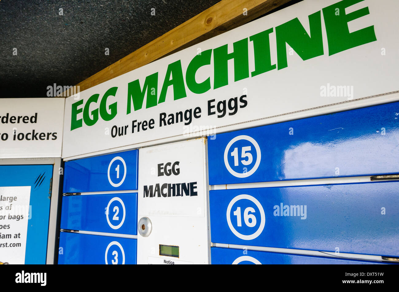 Freilandhaltung Ei-Automaten Stockfoto