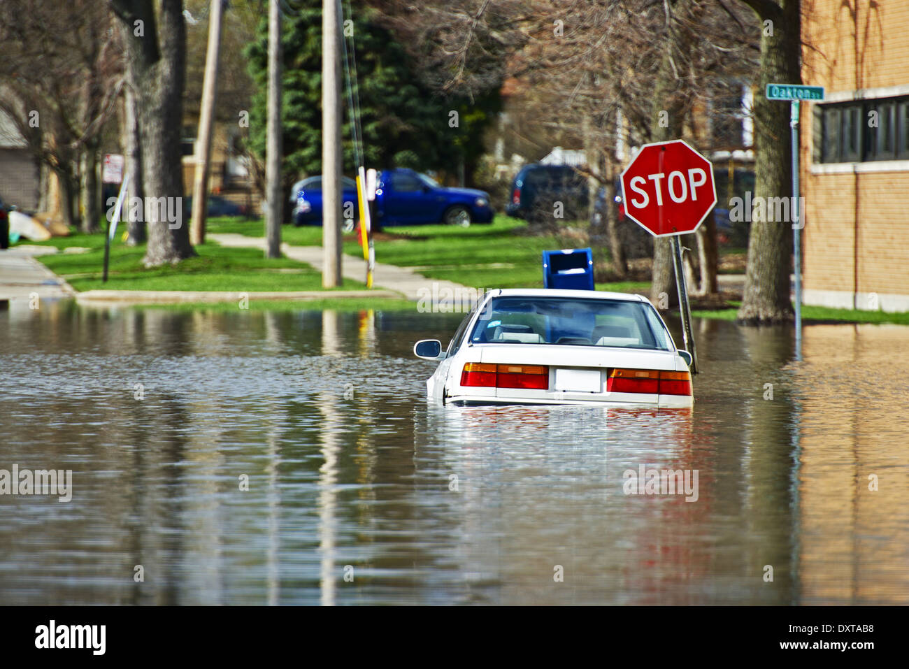 Auto unter Wasser. Fahrzeug von in Des Plains, IL, USA-Hochwasser  überflutet. Überflutete Straßen nach paar Tagen intensiver Regen  Stockfotografie - Alamy
