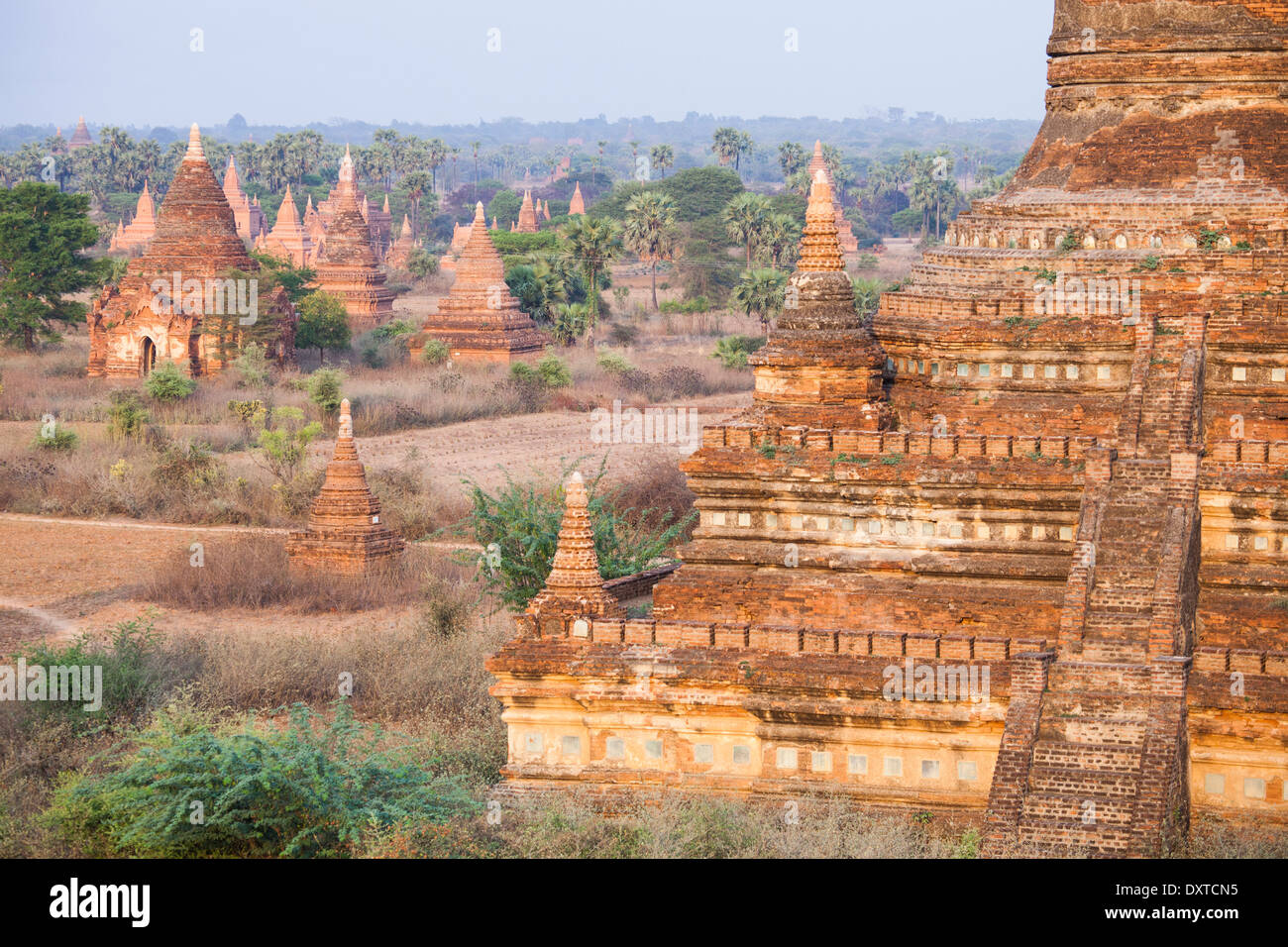 Buddhistischer Tempel in Bagan, Myanmar Stockfoto