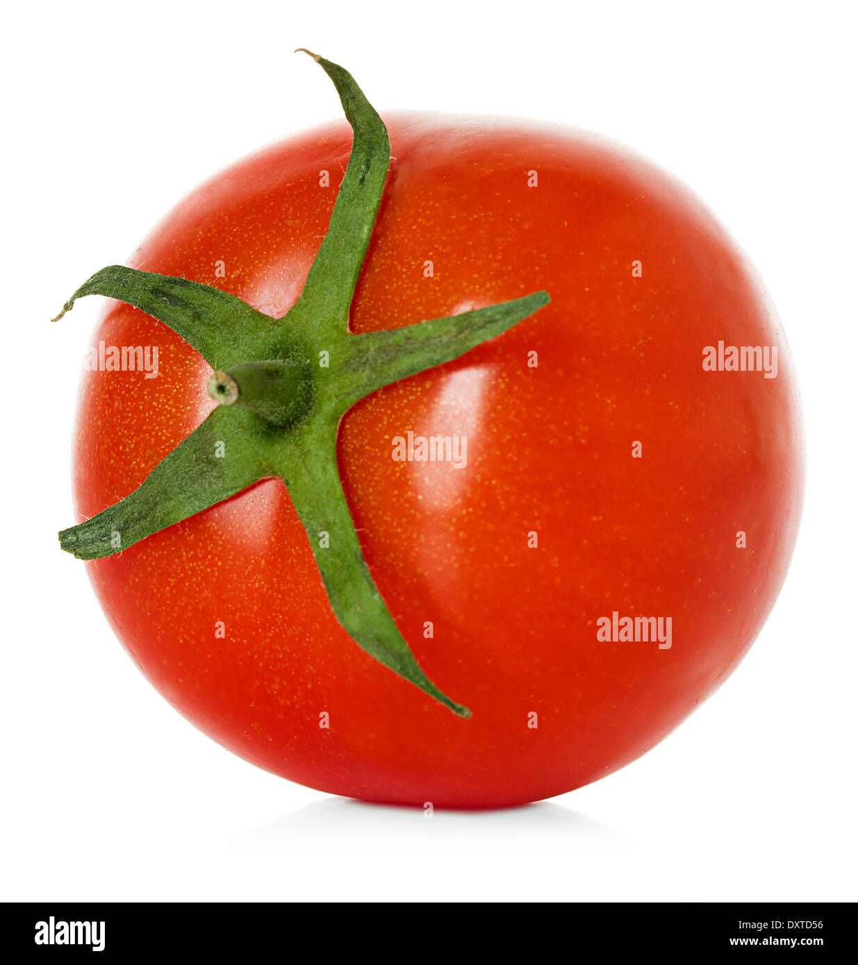 Tomate, isoliert Stockfoto