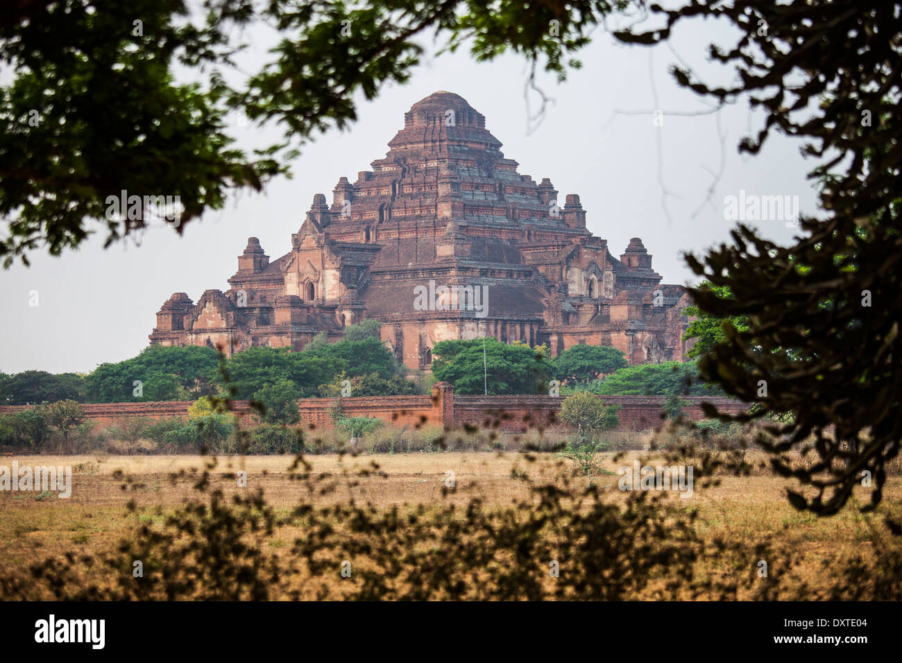 Dhammayangyi Pahto Tempel in Bagan, Myanmar Stockfoto