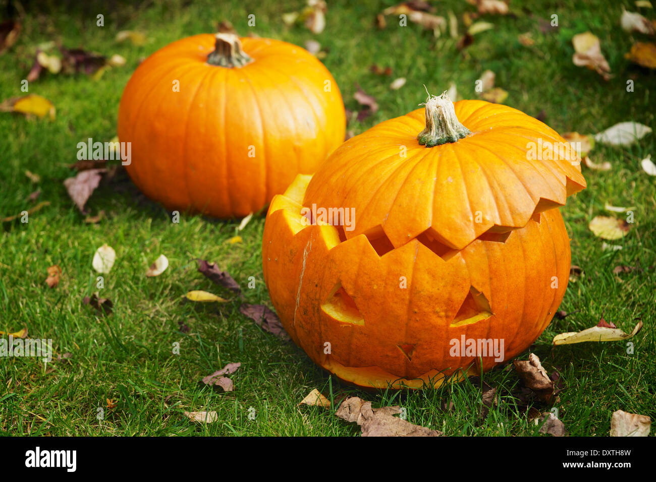 Kürbis schnitzen, Jack O'Lantern auf Rasen Stockfoto