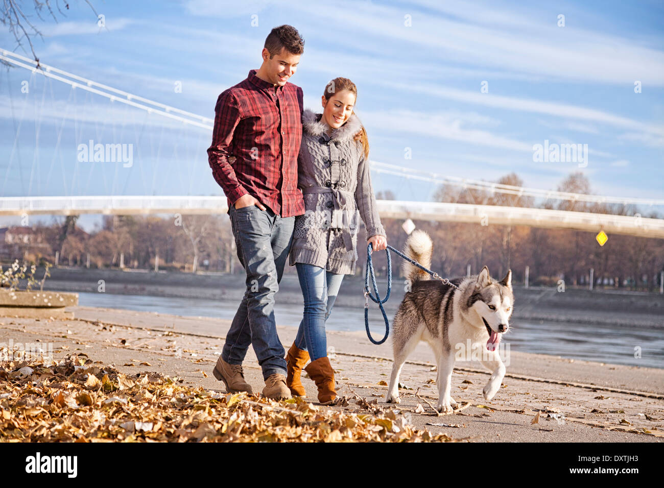 Leute, Die Mit Dem Hund Spazieren Gehen Stockfotos und bilder Kaufen