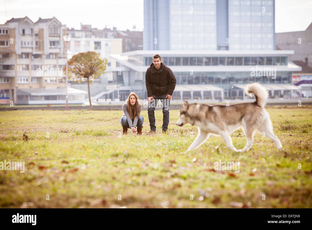 Paar mit Hund im Freien, Kroatien Stockfoto