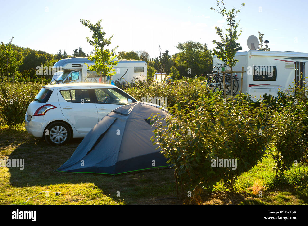 Typische grüne Campingplatz in Arles, Frankreich Stockfoto