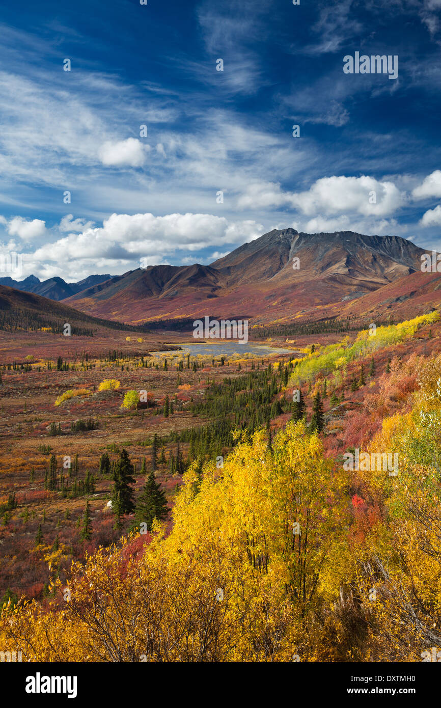 Herbstfärbung und Cathedral Mountain, Tombstone Territorial Park, Yukon Territorien, Kanada Stockfoto