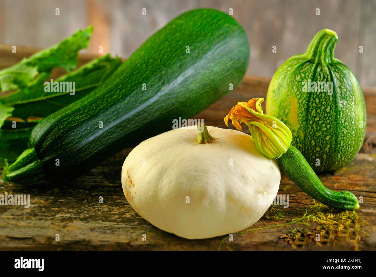 Sortierte Zucchini Stockfoto