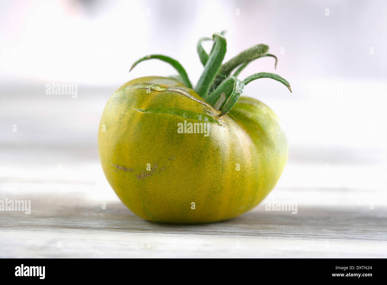 Immergrünen Tomaten Stockfoto