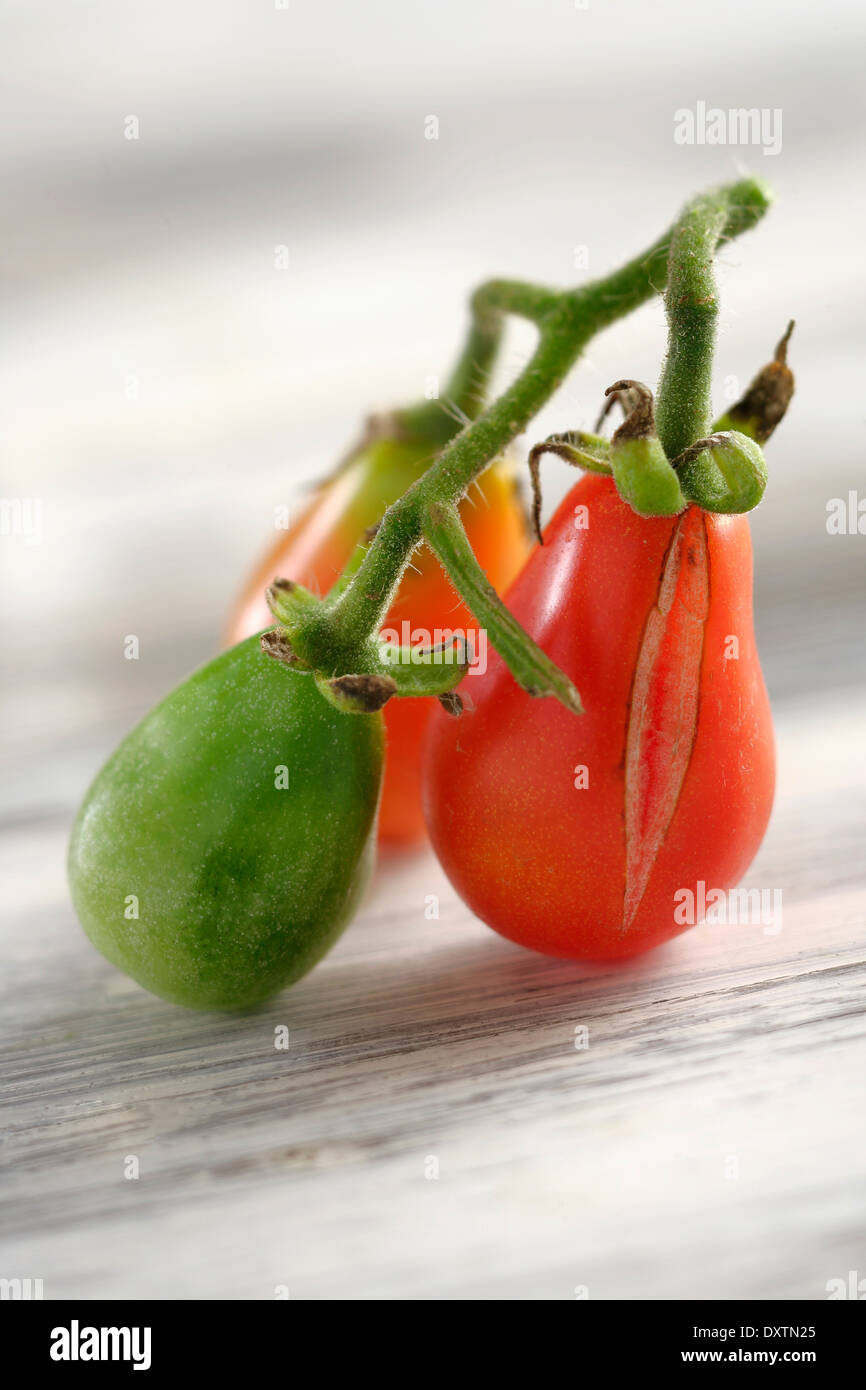 Baby Olivette Tomaten Stockfoto
